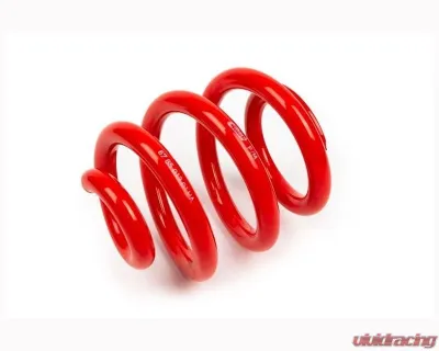MTS Technik Coil Spring - GWFE19HA