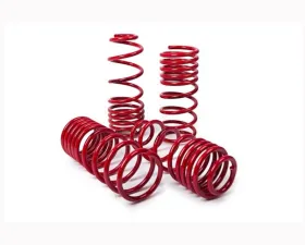 MTS Technik 20/20 mm Performance Springs