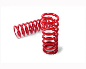 MTS Technik 20mm Rear Sport Springs