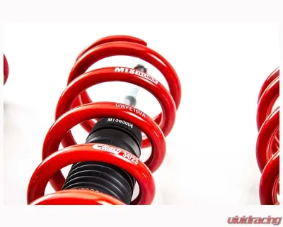 MTS Technik 1070/1235 Kg Street Coilover Suspension BMW 2004-2010 - XMTSGWBM106