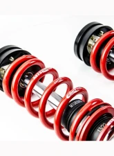 MTS Technik 1030 Kg Stance Coilover Suspension                                     - XMTSGWVW87-S - Image 4