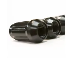 FalconRidge 3/8-24 Black 16 Pack Splined with Key Lug Nut