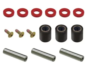 SP1 Needle Bearing Roller Kit Ski-Doo