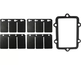 SP1 Reed Valve Rebuild Kit Ski-Doo