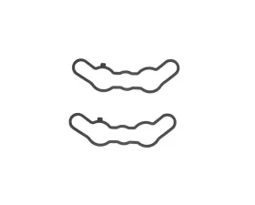 SP1 Exhaust Valve Gasket Kit Polaris