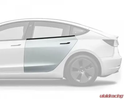 Vicrez OEM Style Rear Left Driver + Right Passenger Door Tesla Model 3 2018-2023 - vz102604