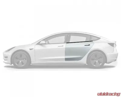 Vicrez OEM Style Rear Left Driver + Right Passenger Door Tesla Model 3 2018-2023 - vz102604