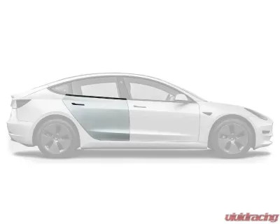 Vicrez OEM Style Rear Right Passenger Door Tesla Model 3 2018-2023 - vz102606