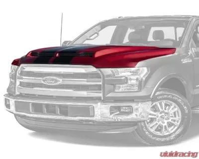 Vicrez GT500 Style Hood w/ Air Vent Scoop Ford F150 2015-2021 - vz102411