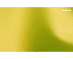 Vicrez Vinyl Car Wrap Film vzv10109 Matte Metallic Green 5ft x 3ft