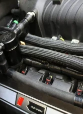 J&L 3.0 Black Anodized Oil Separator (Passenger Side) Ford Mustang GT (w/Roush/VMP S/C) 2011-2022                                     - 3020P-B - Image 3