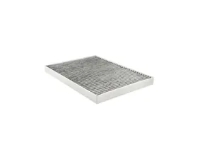 Baldwin PA10002 Cabin Air Element Filter