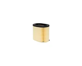 Baldwin PA10068 Oval Air Element Filter