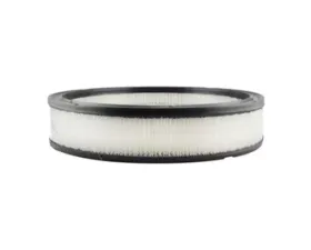 Baldwin PA2009 Air Element Filter