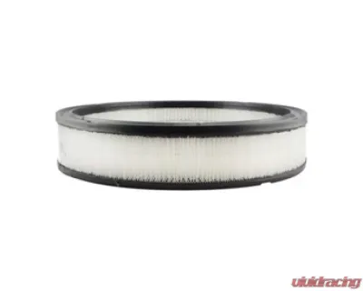 Baldwin PA2009 Air Element Filter - PA2009