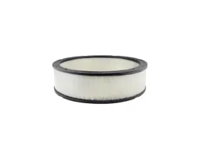 Baldwin PA693 Air Element Filter