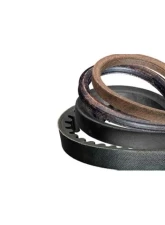 Gates Special Application Belt 85316596                                     - 85316596 - Image 2