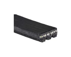 Gates High Performance Automotive V-Ribbed Belts 855293250