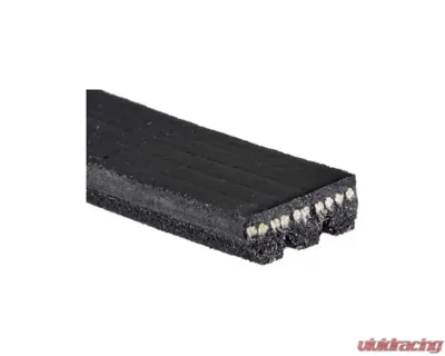 Gates High Performance Automotive V-Ribbed Belts 855293295 - 855293295