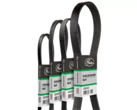 Gates Refrigeration Belt 92005406