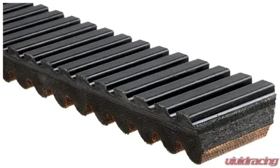 Gates G-Force C12 Continuously Variable Transmission (CVT) Belt - 39C4455