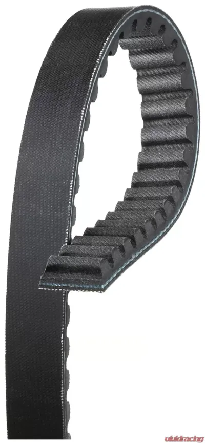 Gates Sportline Recreational Vehicle Belt - 6077