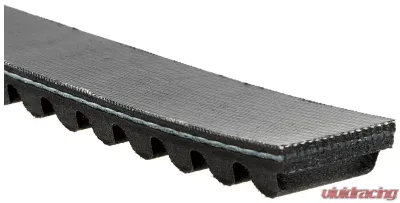 Gates Sportline Recreational Vehicle Belt - 6312