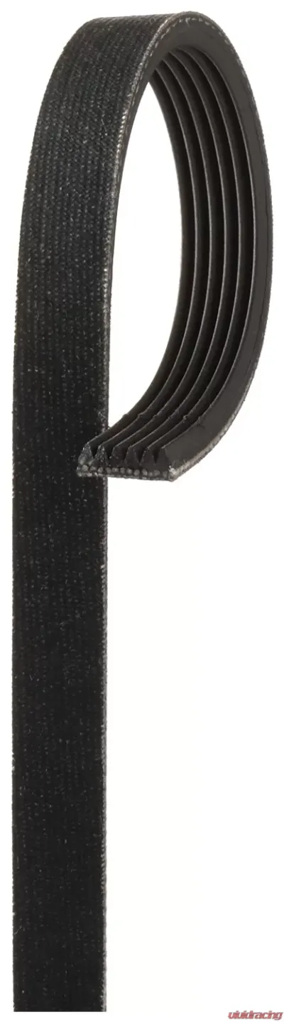 Gates BladeRunner Lawn and Garden Belt - 6543BR