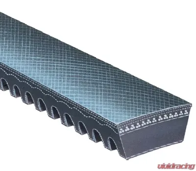 Gates Lawn and Garden Equipment Belt - 6589