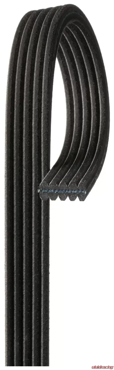 Gates Micro-V Dual-Sided Serpentine Drive Belt - DK050565