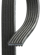 Gates Micro-V Dual-Sided Serpentine Drive Belt                                     - DK060956 - Image 4