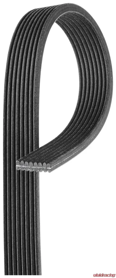 Gates Micro-V Dual-Sided Serpentine Drive Belt - DK080555