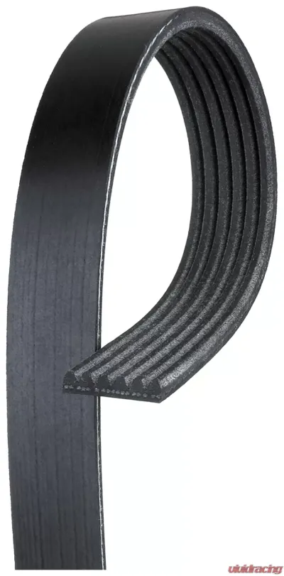 Gates Micro-V Serpentine Drive Belt - K060724
