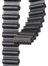 Gates Premium Automotive Timing Belt                                     - T293 - Image 3