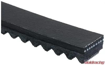 Gates Green Stripe Truck & Bus Series V-Belt - TR22405