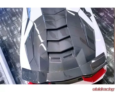 Carbonado DCF BKSS Style Engine Trunk Lamborghini Aventador LP700 Coupe 2011-2016 - DCF5900BKSS.EH