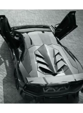 Carbonado DCF DM Style Engine Trunk Lamborghini Aventador LP700 Coupe 2011-2016                                     - DCF5900DMC.EH - Image 7
