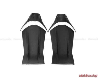 Carbonado FGCF Seat-Back Cover Mercedes Benz 2015-2021 - FGCF8502OEM-STC
