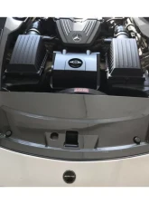 Carbonado FGCF OEM Style Radiator Cover Mercedes Benz W197 SLS AMG 2010-2015                                     - FGCF8515OEM-RC - Image 6