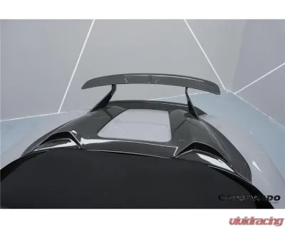 Carbonado DryCF HU Style Hump Spoiler Wing for Porsche 718 981 Boxster 2012-2023 - DRYCF718-KG-HUM-W