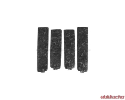 Carbonado DryFGCF Door Patch Replacement Mercedes-Benz G-Class 2019-2022 - DRYFGCF8516OE-INTRI