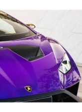 Carbonado DryFGCF Hood Vents Lamborghini Huracan?STO 2021-2024                                     - DRYFGCFHURACANSTO-HV - Image 9