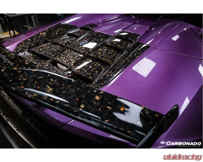 Lamborghini Huracan DryCF Carbon Fiber Spoiler 2015-2025 LP610 LP580 EVO Tecnica OD Style - DRYFGCFHuracanEVO-OD-W