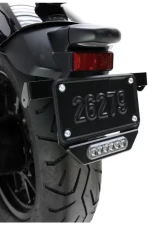 DENALI Electronics LED B6 License Plate Auxiliary Brake Light                                     - DNL.B6.10000 - Image 2