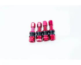 AodHan Wheels V1 Valve Stems