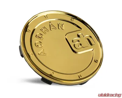 AodHan Wheels DS Series Center Cap - DS_Cap_VG