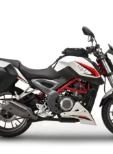 Shad USA System Mount Benelli BN 251|TNT 25 2016-2021                                     - B0BN27IF - Image 4