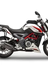 Shad USA System Mount Benelli BN 251|TNT 25 2016-2021                                     - B0BN27IF - Image 5