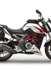 Shad USA System Mount Benelli BN 251|TNT 25 2016-2021                                     - B0BN27IF - Image 8