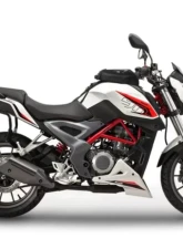 Shad USA System Mount Benelli BN 251|TNT 25 2016-2021                                     - B0BN27IF - Image 9